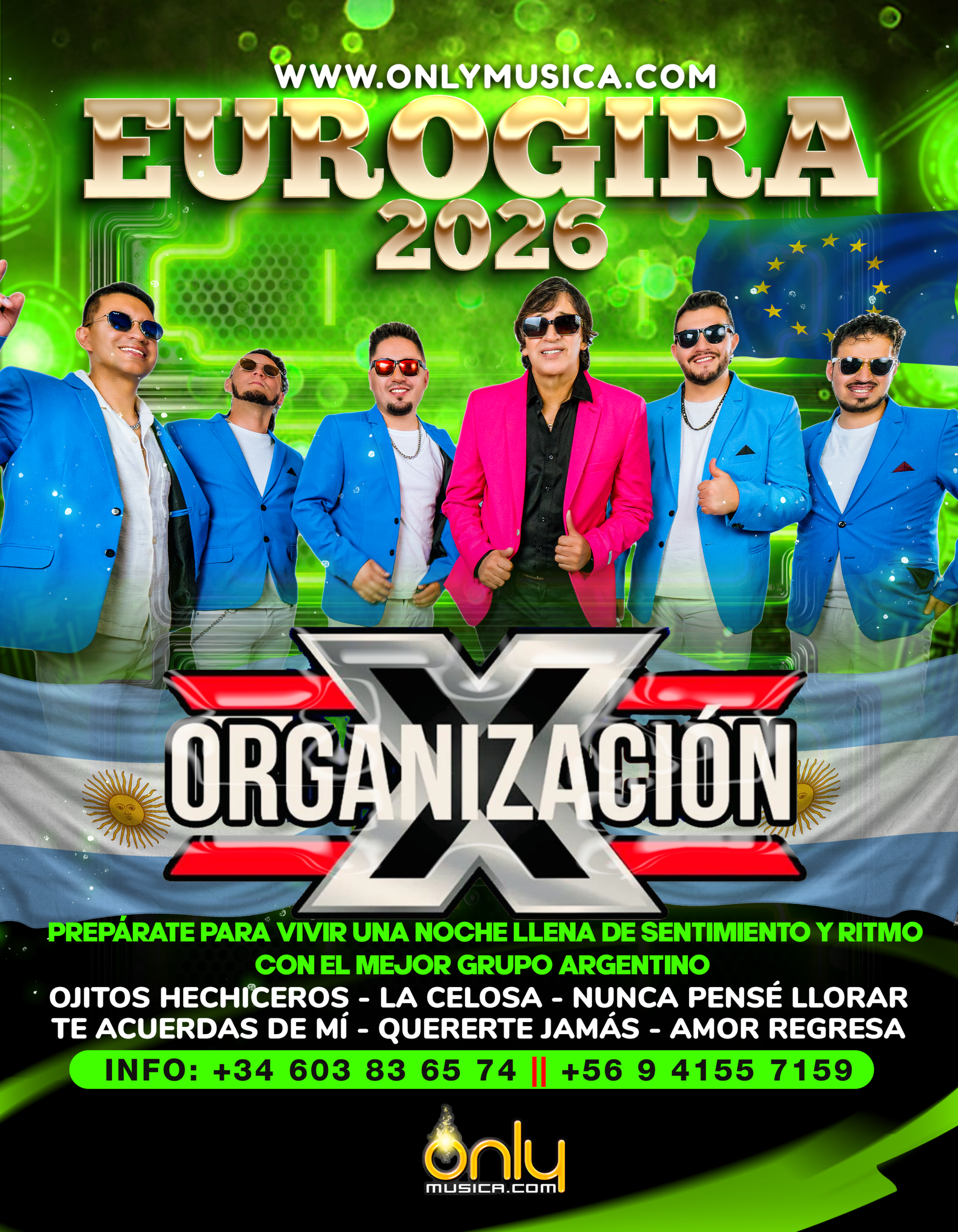 Organización X